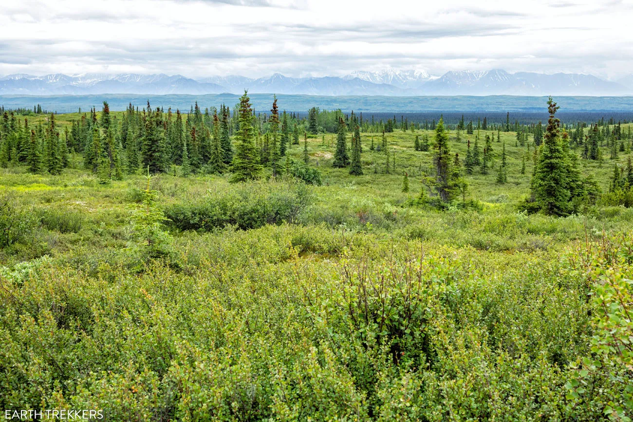 Denali Cloudy Day