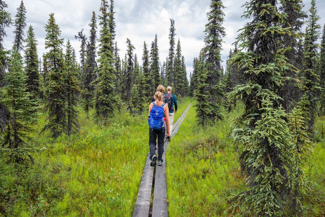 Denali Hiking