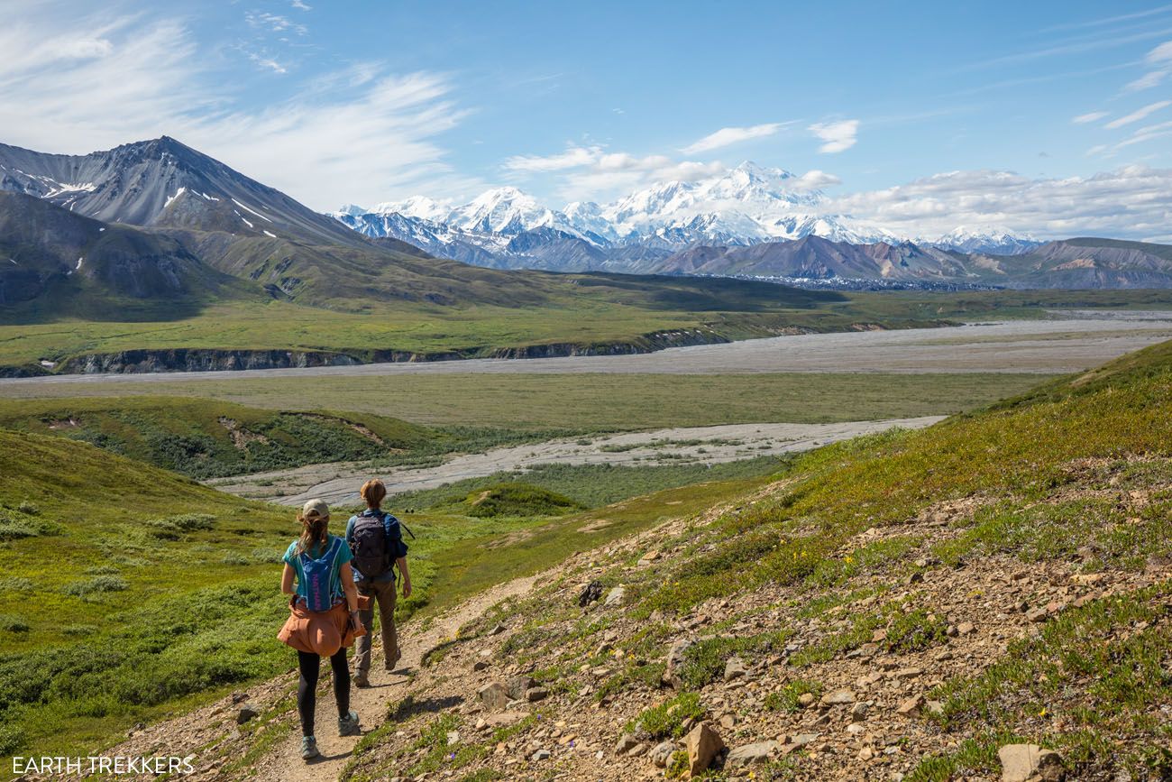 Denali Park Road July