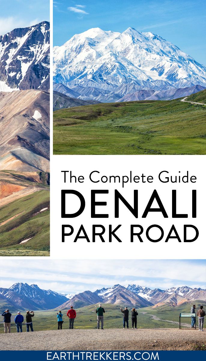 Denali Park Road Travel Guide