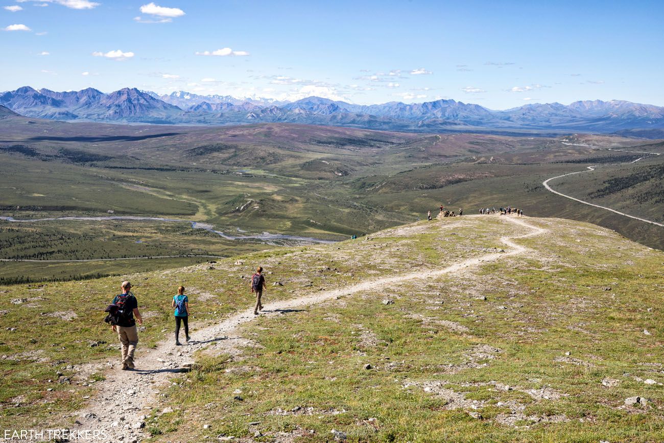 Hikes in Denali National Park Photo | Best Hikes in Denali