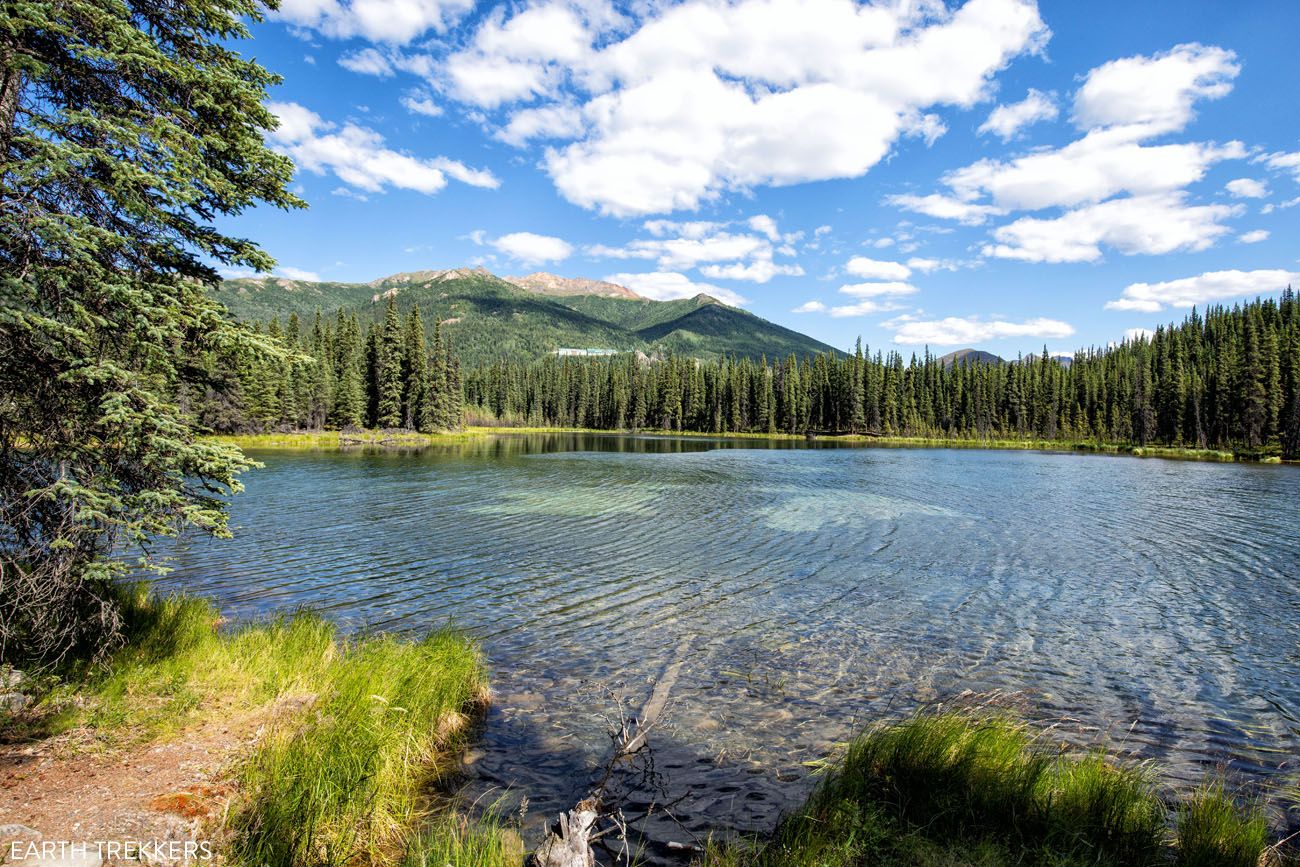 Horseshoe Lake | Best Hikes in Denali