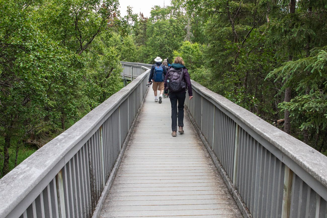 Katmai Boardwalk Trail