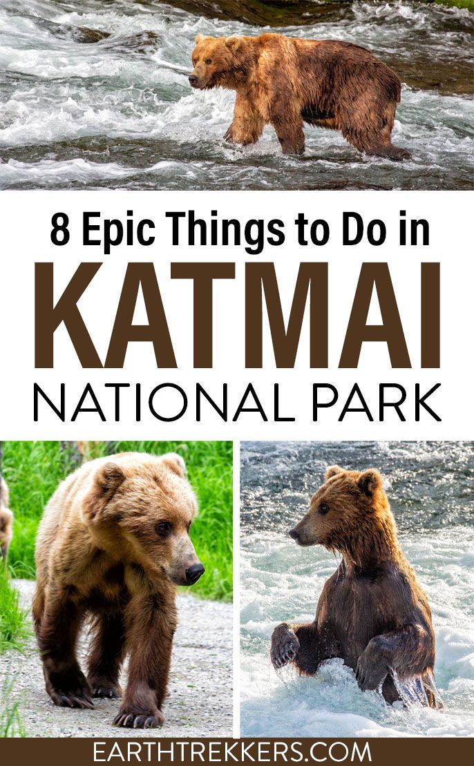 Katmai National Park Alaska