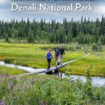 McKinley Bar Trail Denali National Park