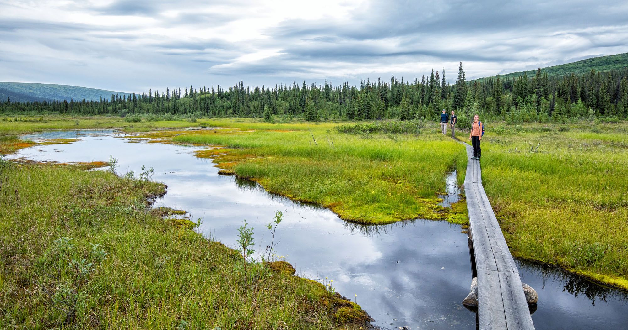 Featured image for “How to Hike the McKinley Bar Trail in Denali National Park”