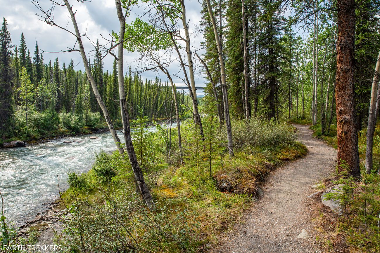McKinley Station Trail | Best Hikes in Denali