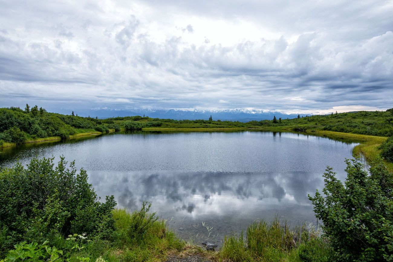 Reflection Pond Cloudy Day