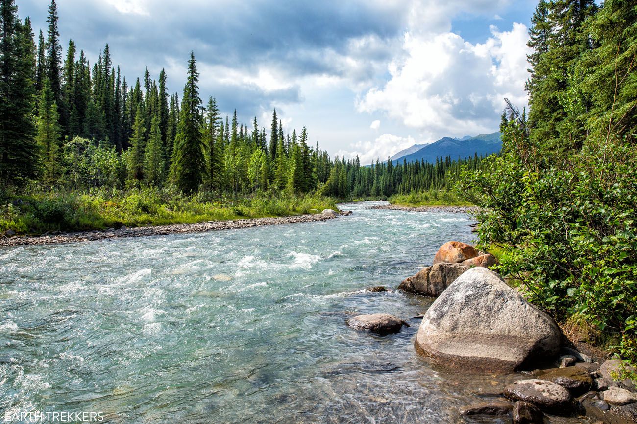 Riley Creek | Best Hikes in Denali