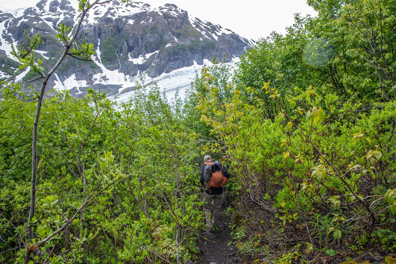 Sketchy Trail