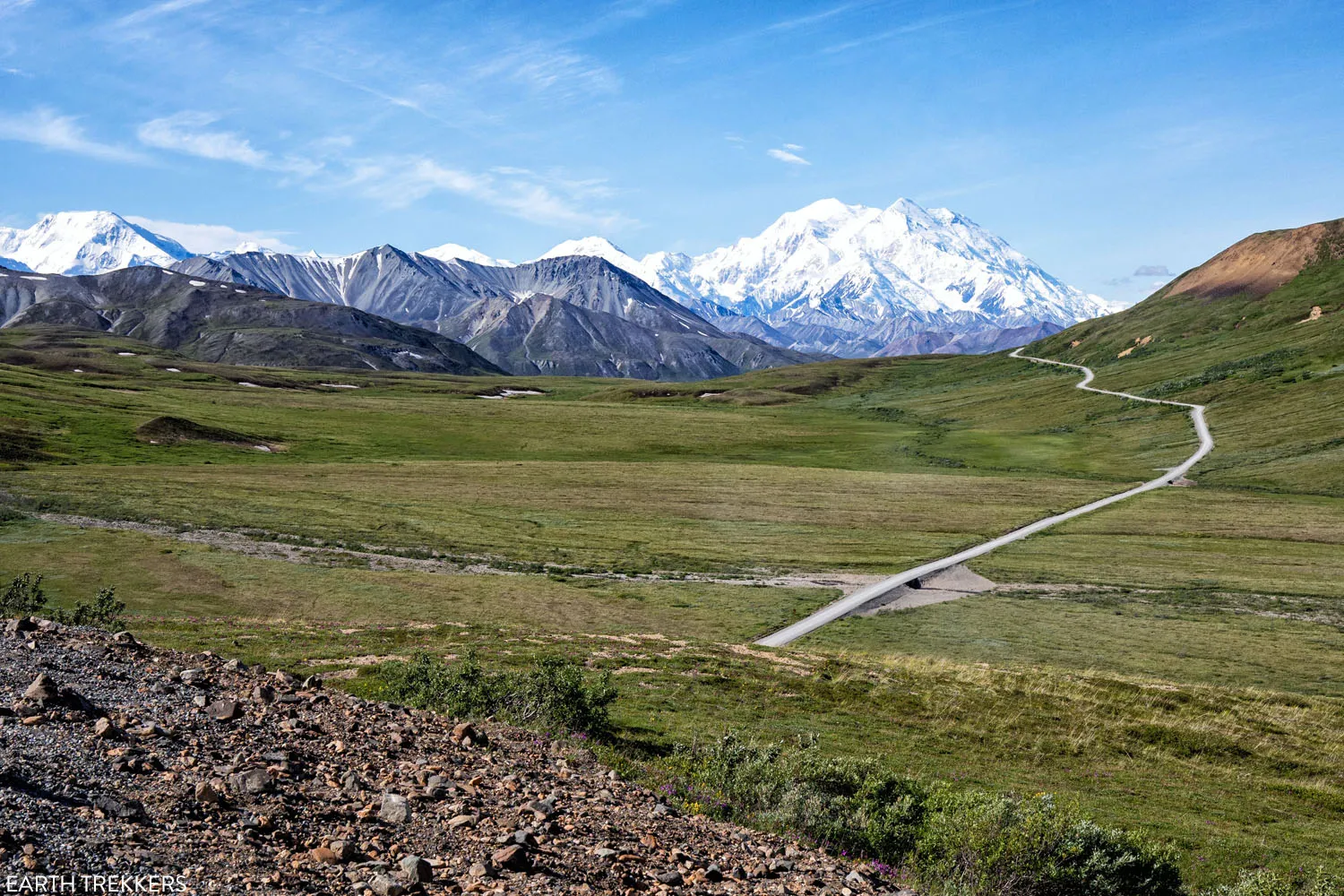 Things to do in Denali