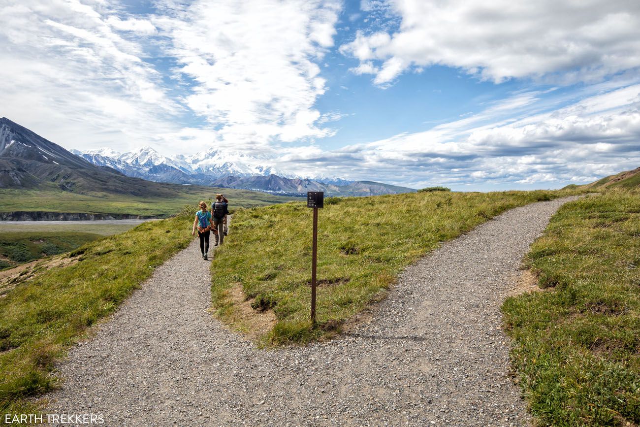 Top 10 Hikes in Denali National Park Preserve Earth Trekkers