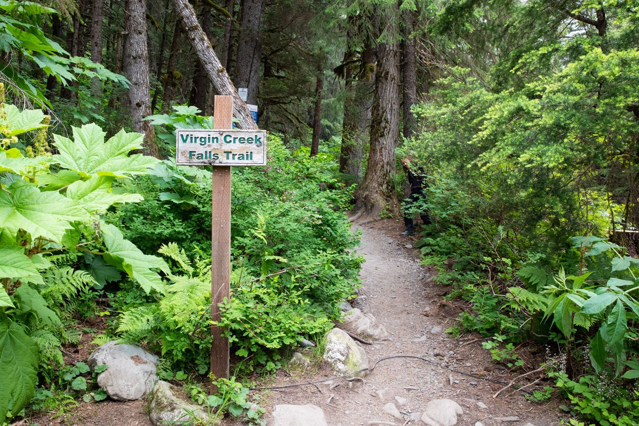 Virgin Creek Falls Trailhead