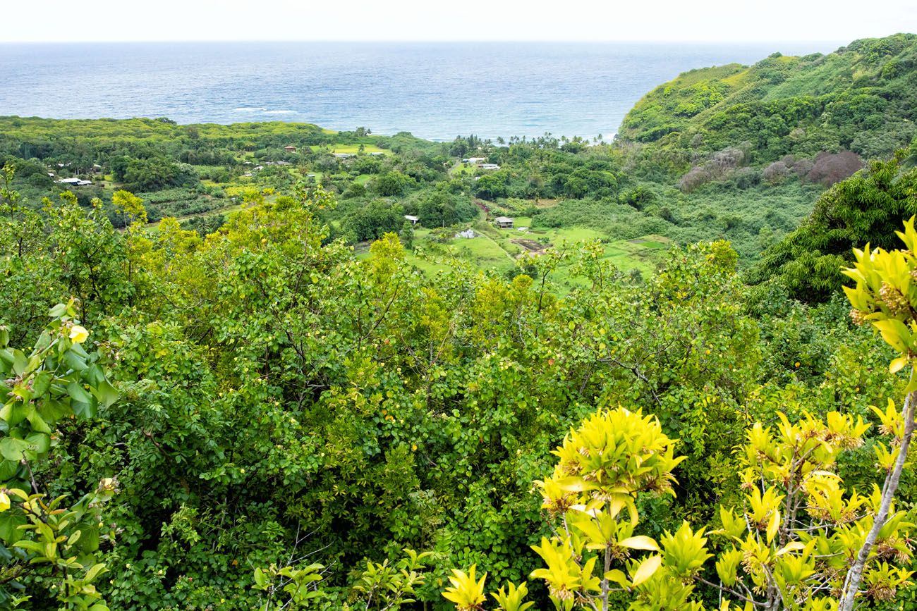 Wailua Valley