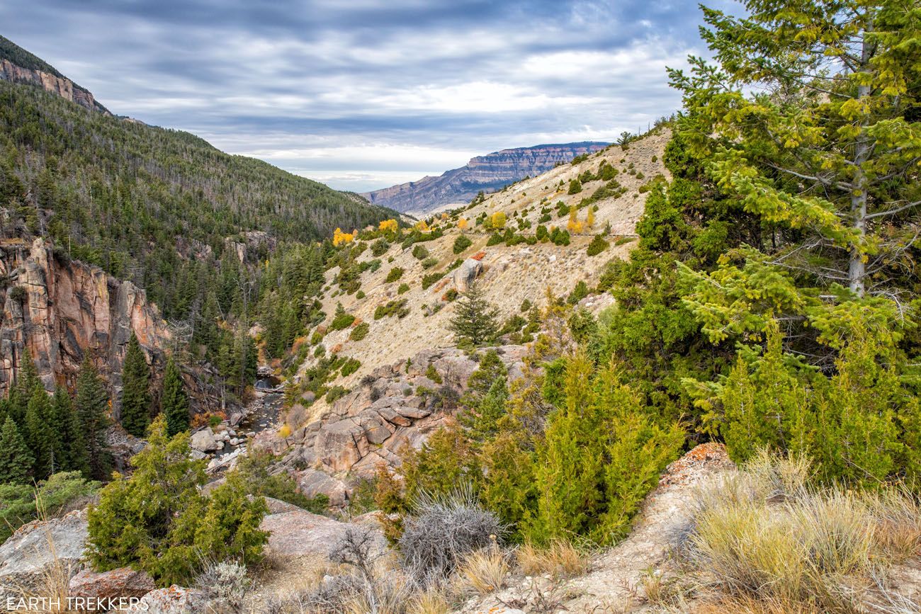 Bighorn National Forest