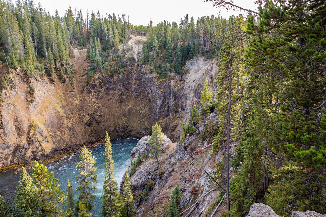 Brink of the Upper Falls Viewpoint Grand Canyon of the Yellowstone