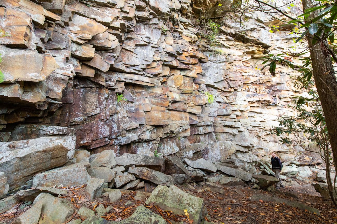 Castle Rock Trail