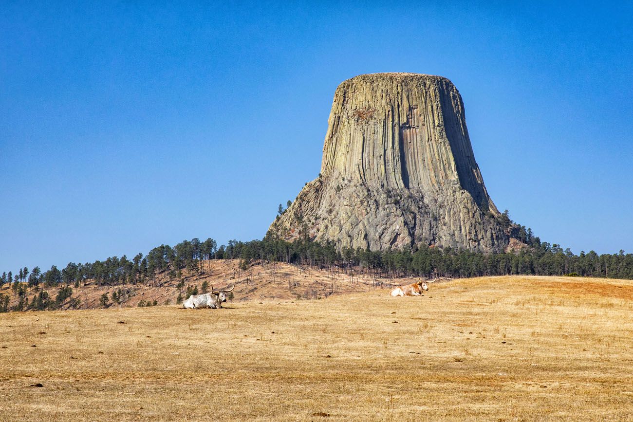 Devils Tower