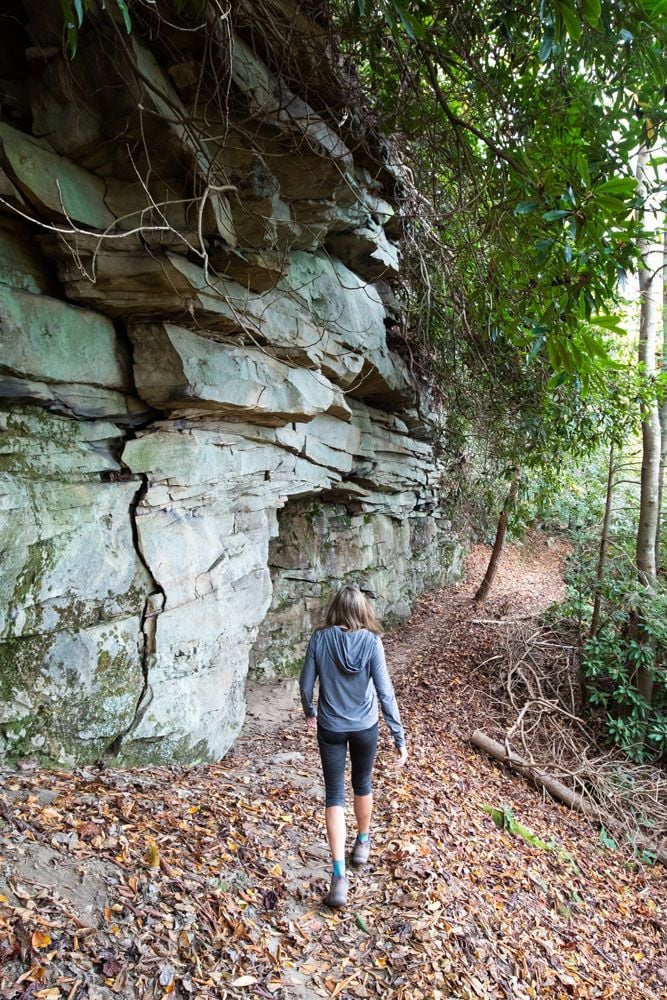 Hikes in New River Gorge NP