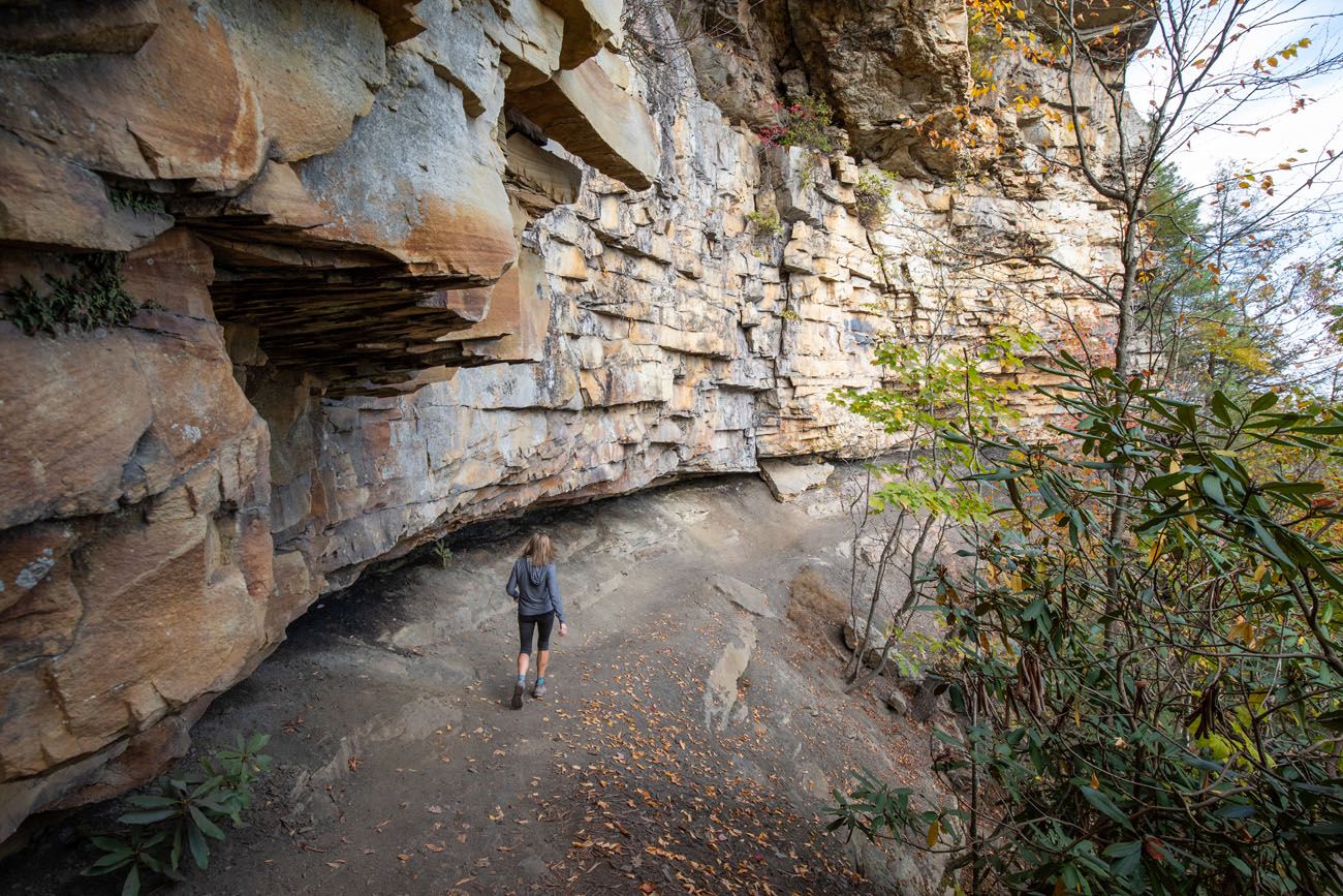 Hikes in New River Gorge