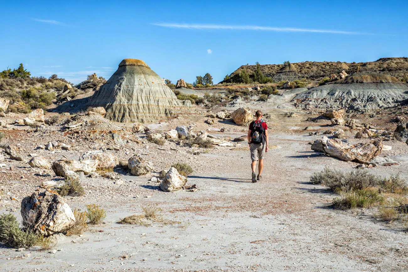 Petrified Forest TRNP