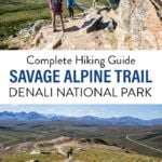 Savage Alpine Trail Denali NP