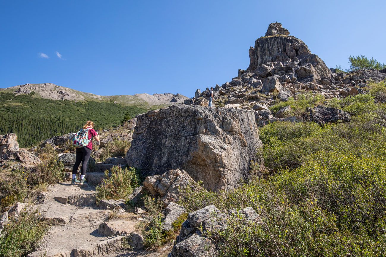 Savage Alpine Trail Rock