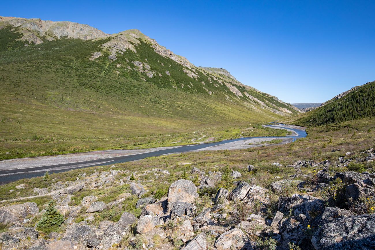 Savage River Denali