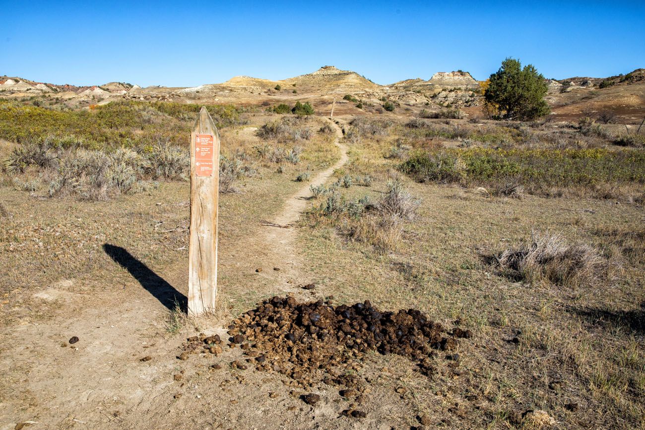 TRNP Trail Marker