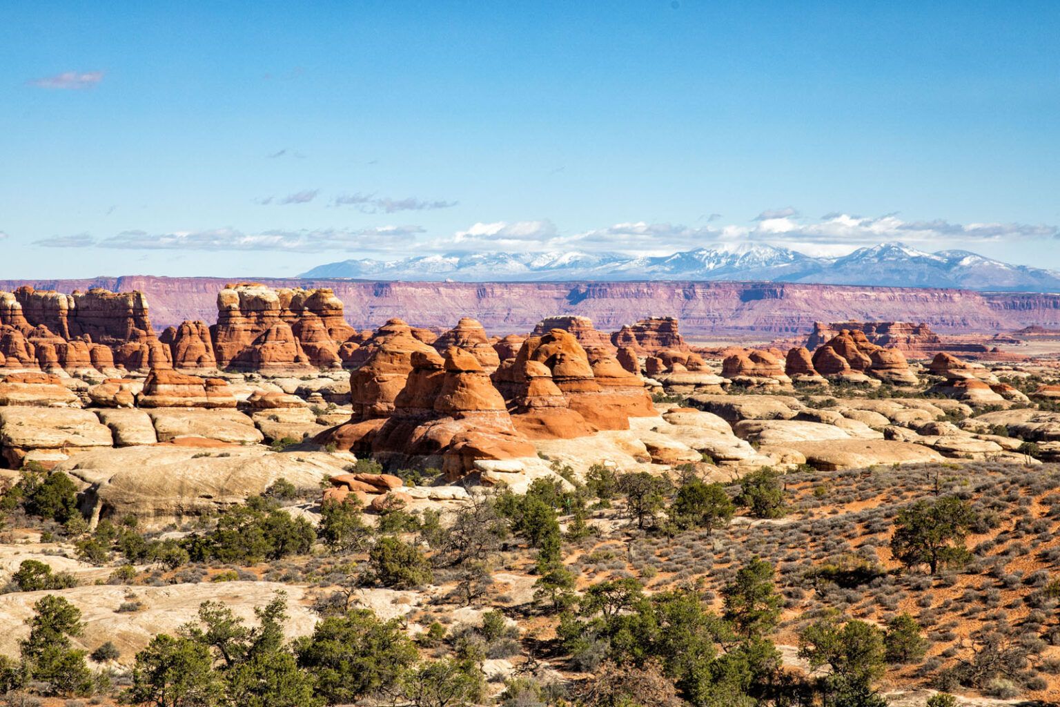 The Needles District