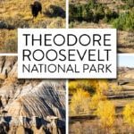 Theodore Roosevelt National Park South Unit