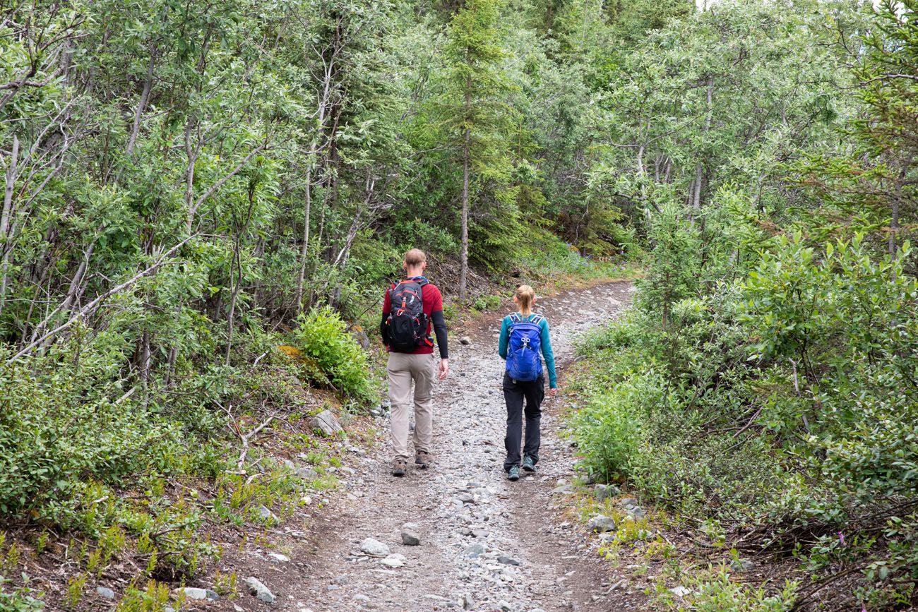 Trail to the Root Glacier