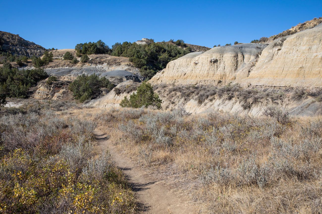 View of the Trail