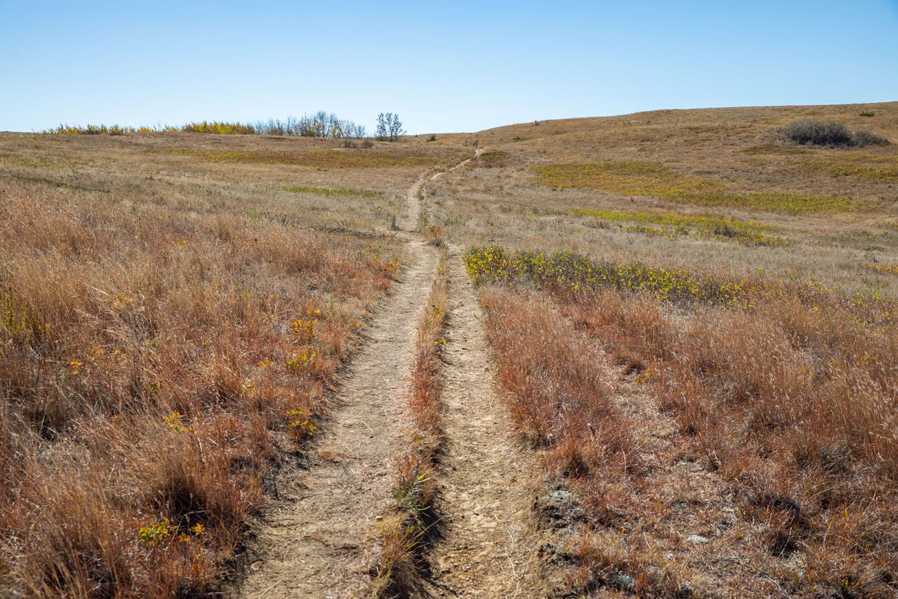 Achenbach Trail