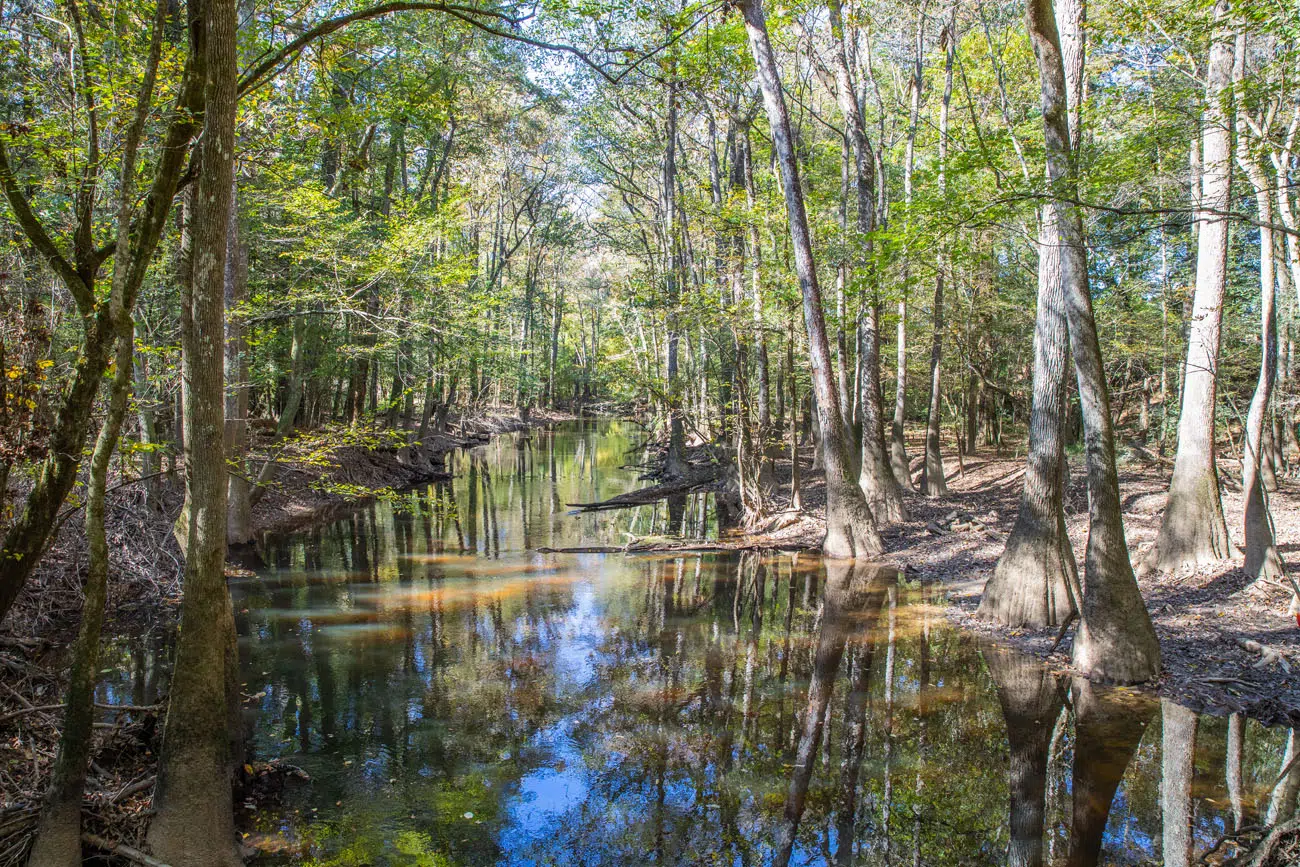 Cedar Creek