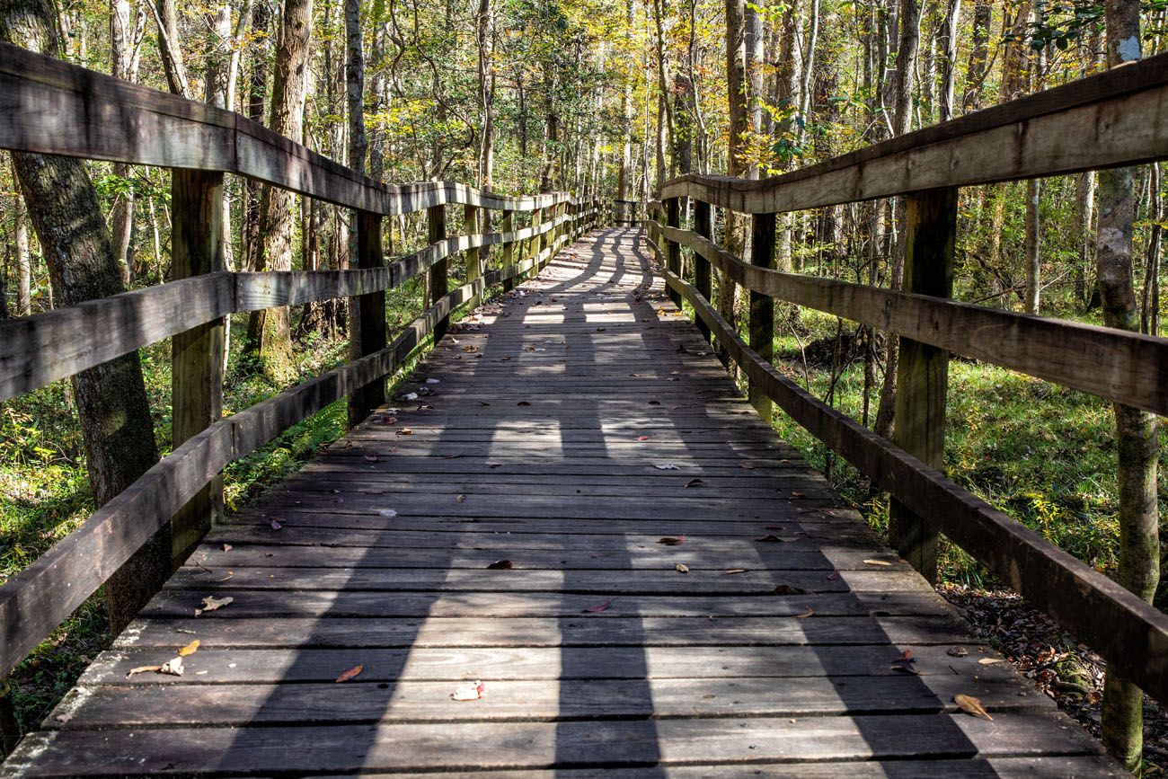 Congaree Boardwalk Trail