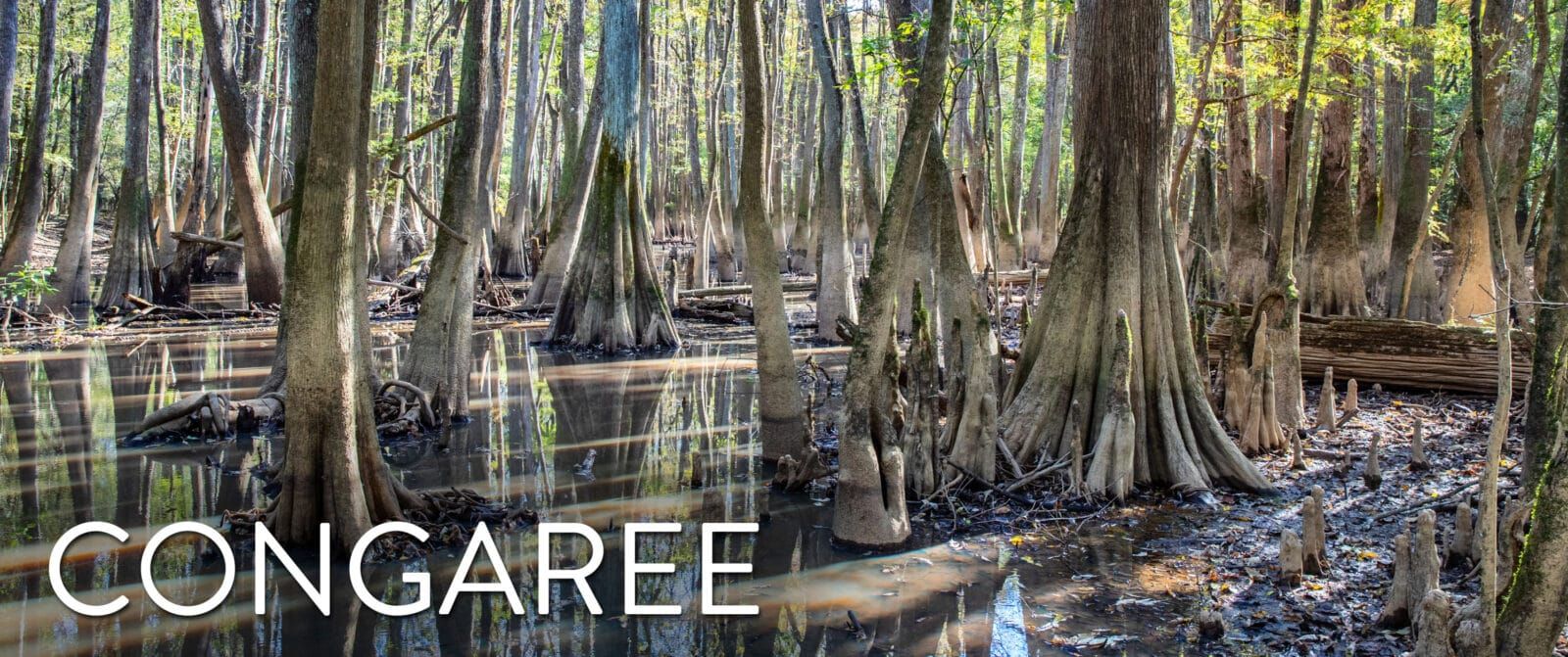 Congaree