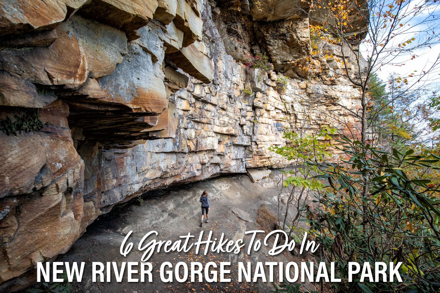 Hikes in New River Gorge