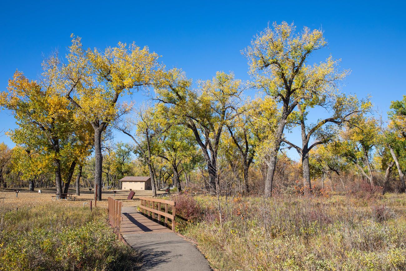 Juniper Campground