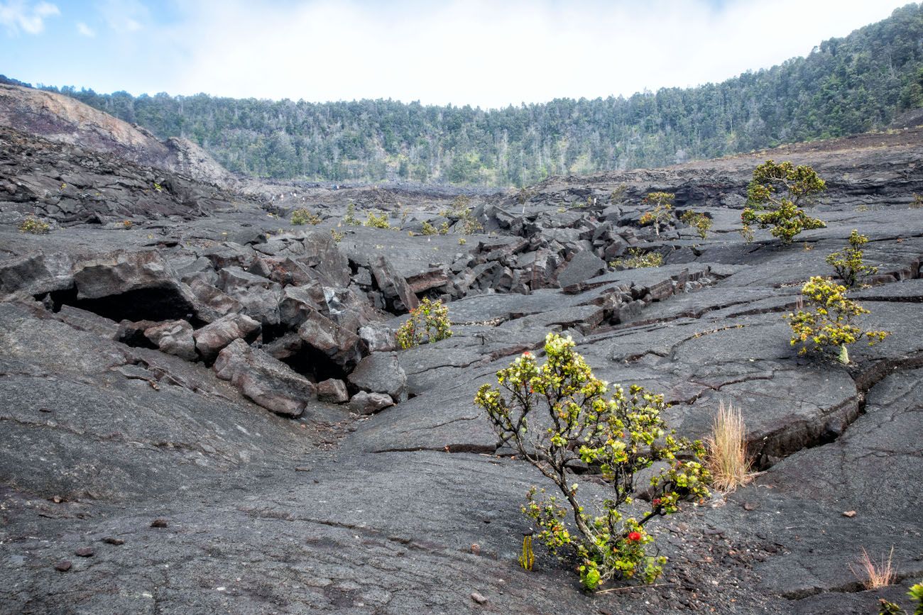 Kilauea Iki Crater