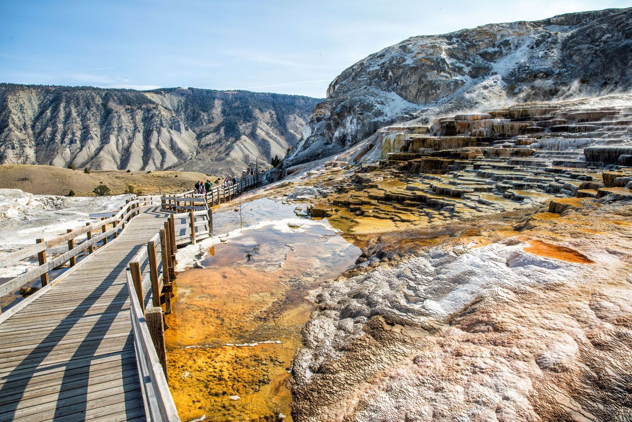 Mammoth Hot Springs