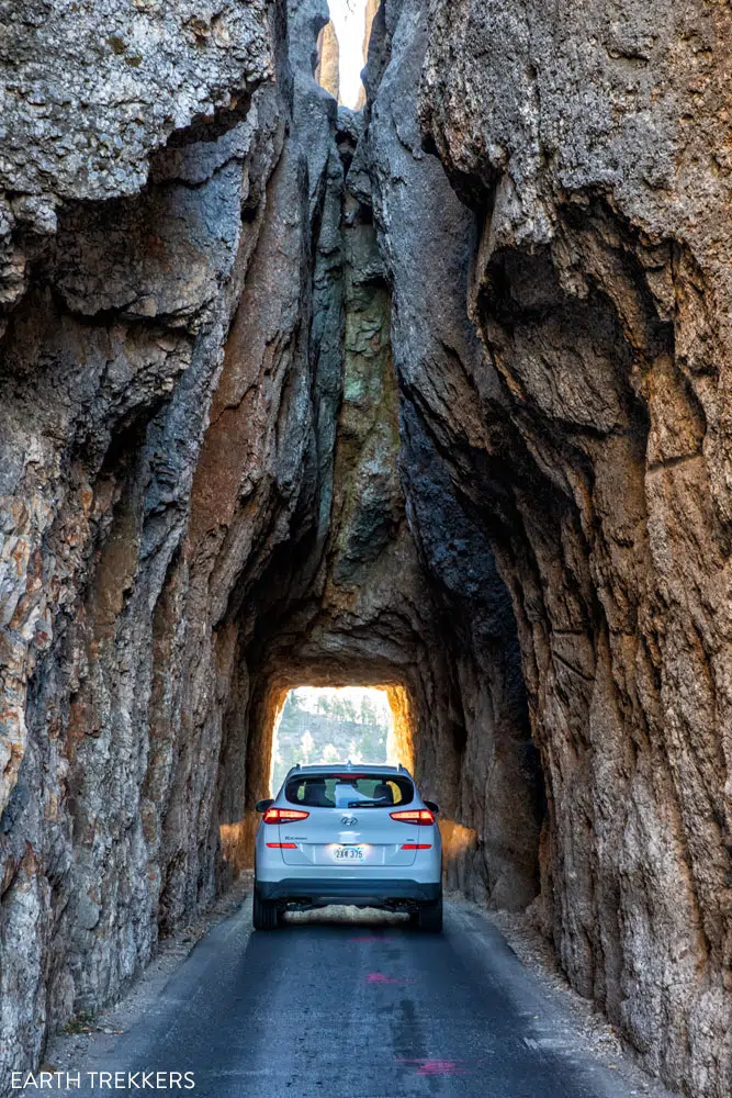 Needles Highway Yellowstone Devils Tower and Mount Rushmore