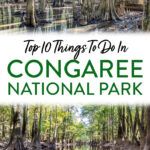 Things to do Congaree National Park