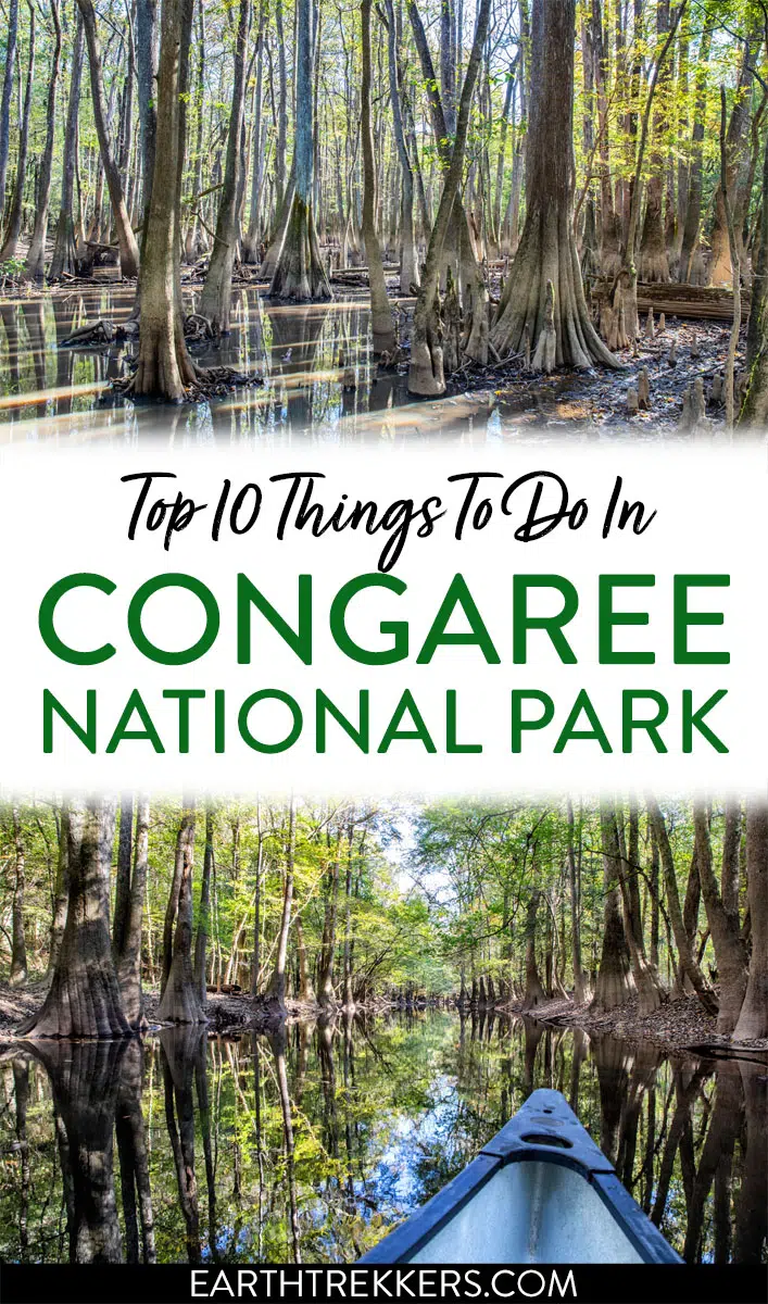 Things to do Congaree National Park