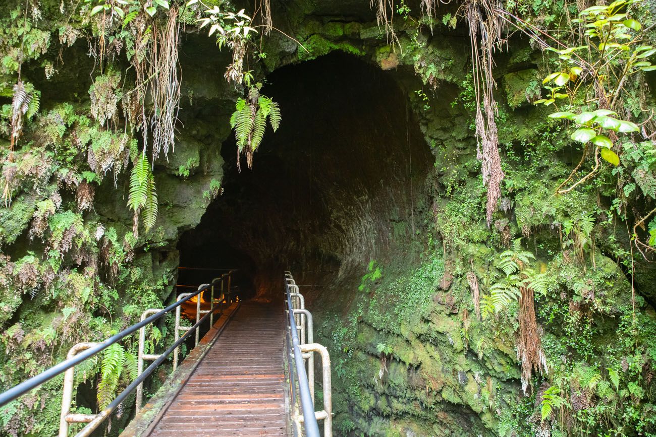 Thurston Lava Tube