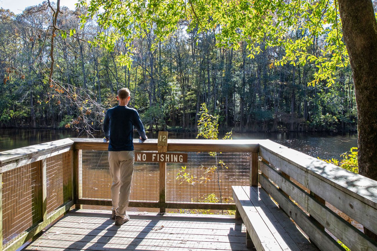 Weston Lake Overlook