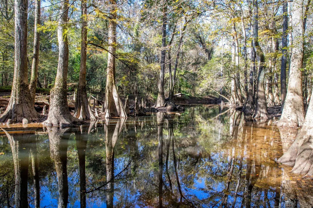 Weston Lake Trail