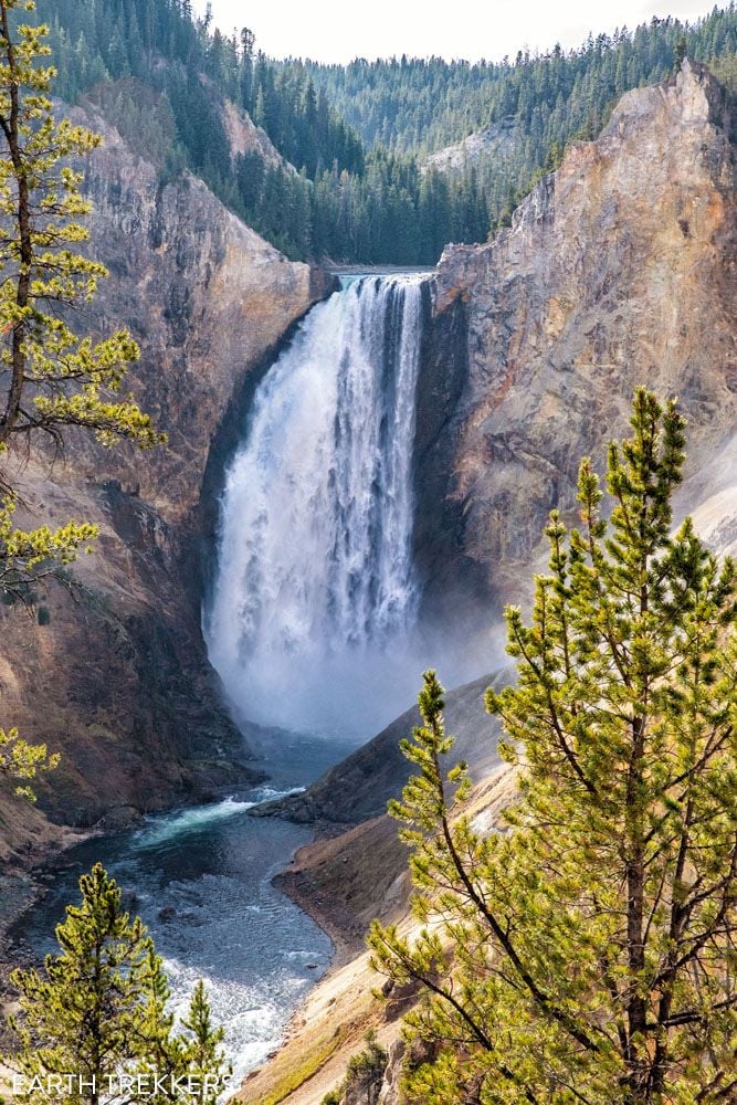 Yellowstone Lower Falls