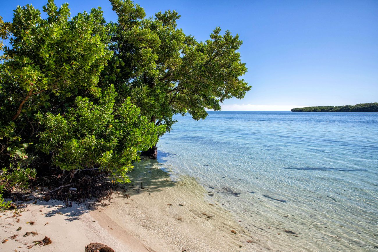 Beach View Biscayne