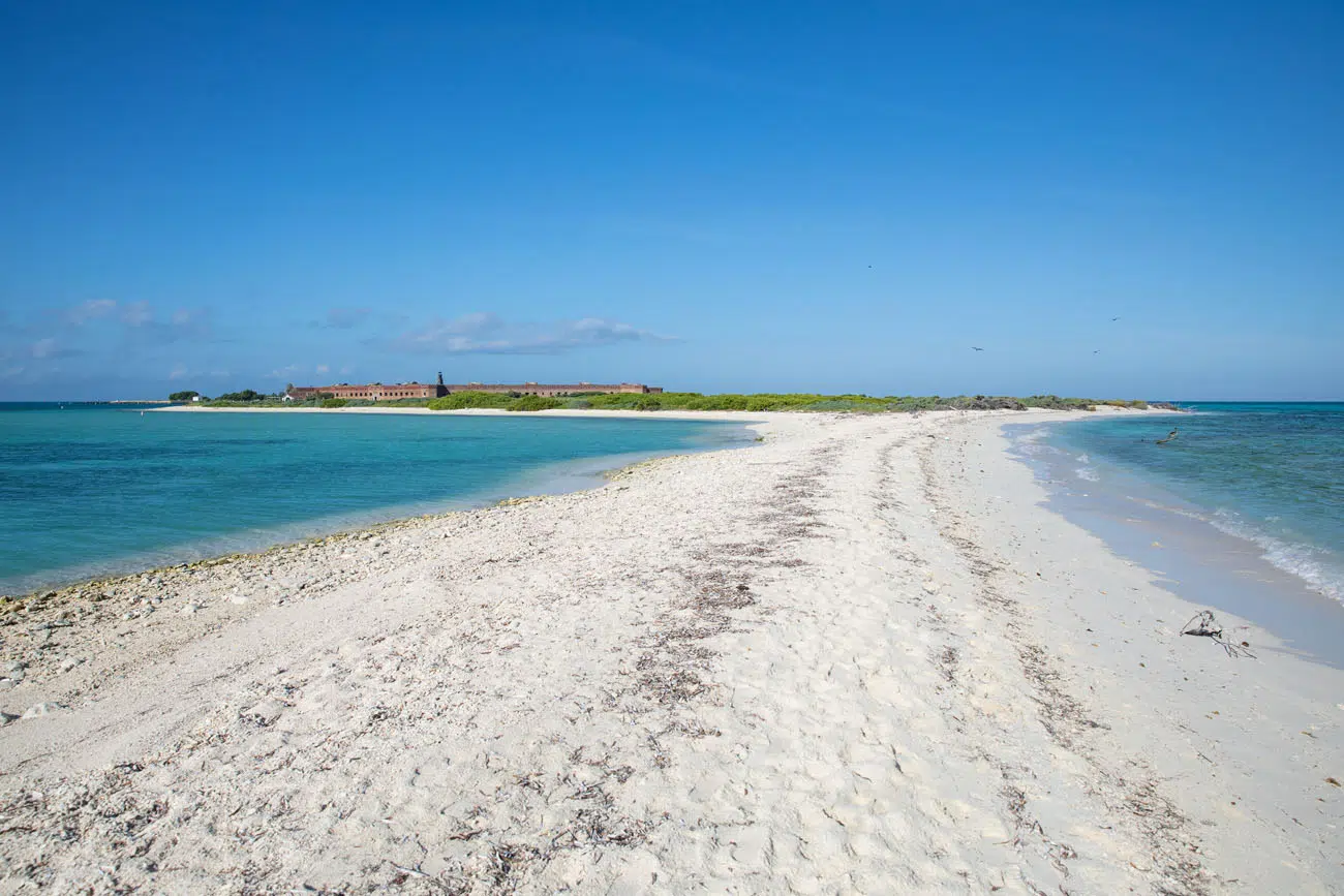 Bush Key View things to do in Dry Tortugas